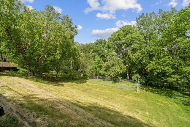 942 Evergreen Ct, Iowa City, IA 52245 - view of yard featuring a view of trees