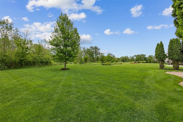 4355 Par Cir, Marion, IA 52302 - view of green lawn