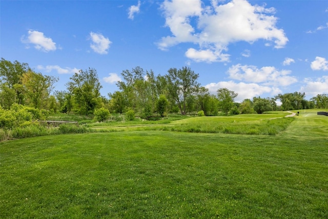 4355 Par Cir, Marion, IA 52302 - view of green lawn
