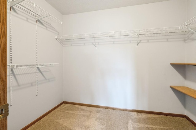 3035 English Glen Ct Unit D7, Marion, IA 52302 - spacious closet featuring carpet floors