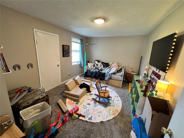 1213 11th St, Marion, IA 52302 - living area featuring carpet floors and a textured ceiling