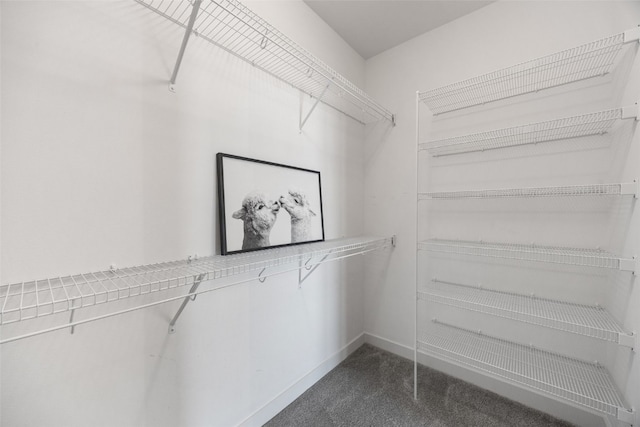 901 E 2nd Ave Unit 5, Coralville, IA 52241 - spacious closet featuring dark carpet