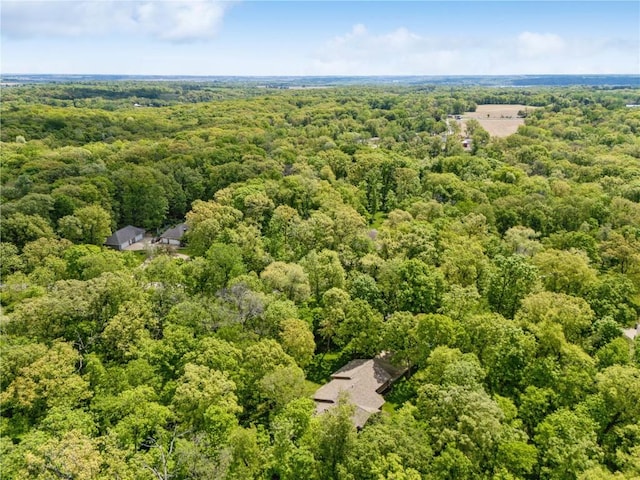 1445 NE Butternut Ln, Swisher, IA 52338 - aerial view of a heavily wooded area