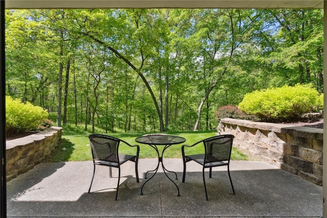 1445 NE Butternut Ln, Swisher, IA 52338 - view of patio / terrace