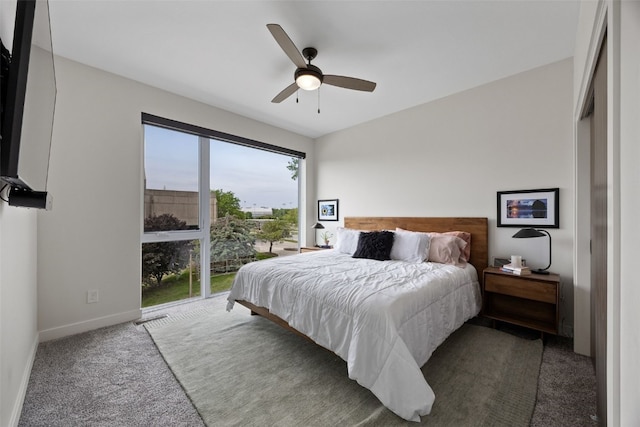 830 Newton Rd Unit 4, Iowa City, IA 52246 - bedroom with dark colored carpet, baseboards, and a ceiling fan