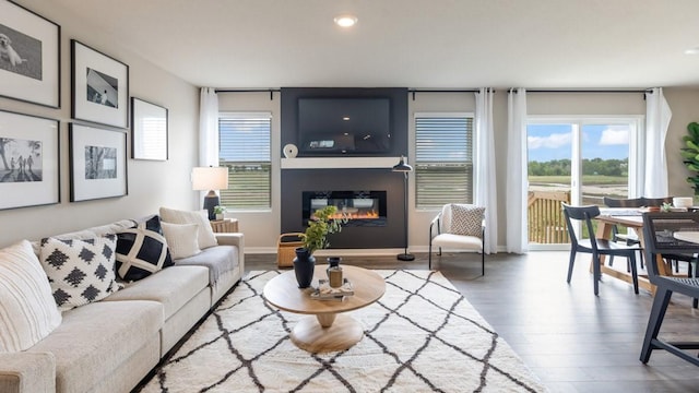 626 Maddie Ln, Tiffin, IA 52340 - living area with plenty of natural light, a glass covered fireplace, wood finished floors, and recessed lighting