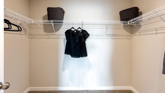 626 Maddie Ln, Tiffin, IA 52340 - walk in closet featuring carpet