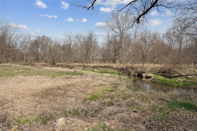 2527 61st St Ln Lot 1, Vinton, IA 52349 - view of undeveloped land