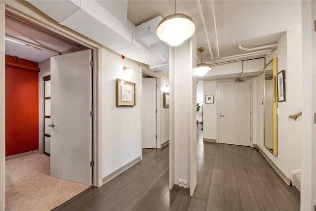 905 3rd St SE Unit 111, Cedar Rapids, IA 52401 - hallway with wood finished floors