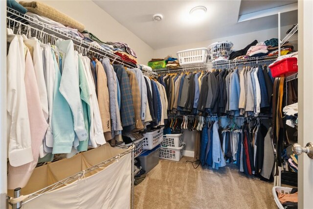 3010 Newcastle Rd, Marion, IA 52302 - walk in closet with carpet flooring