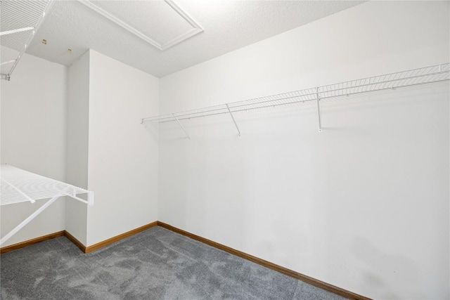 3110 Towne House Dr NE Unit C, Cedar Rapids, IA 52402 - spacious closet featuring dark colored carpet