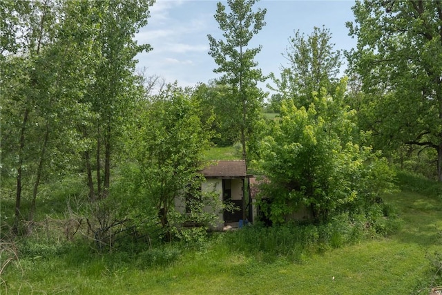 3136 155th St, Muscatine, IA 52761 - view of local wilderness