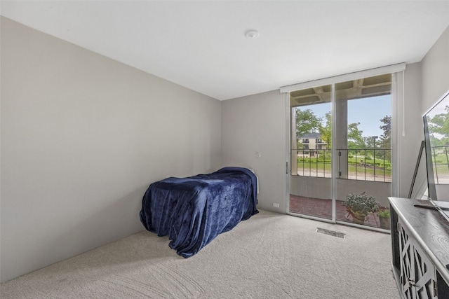 2222 1st Ave NE Unit 107, Cedar Rapids, IA 52402 - bedroom with carpet and access to exterior
