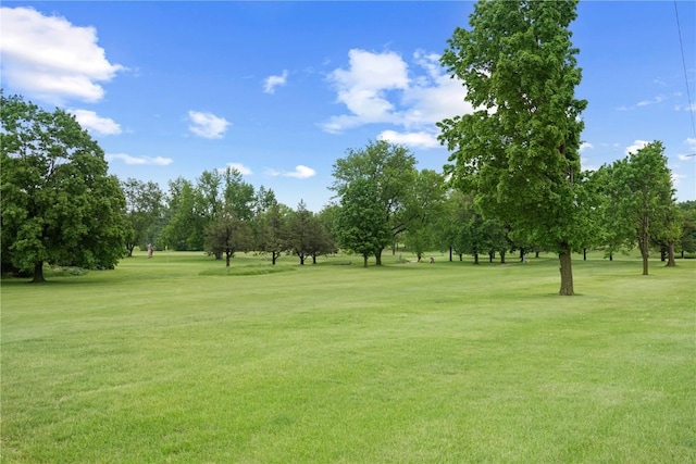 250 Cimarron Unit 311, Hiawatha, IA 52233 - view of community with a lawn and view of scattered trees