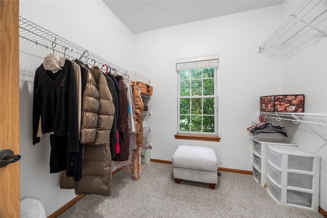 959 Tamarack Trl, Iowa City, IA 52245 - walk in closet with carpet floors