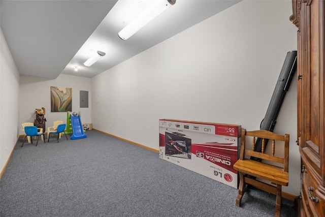 959 Tamarack Trl, Iowa City, IA 52245 - recreation room with electric panel, carpet floors, and baseboards