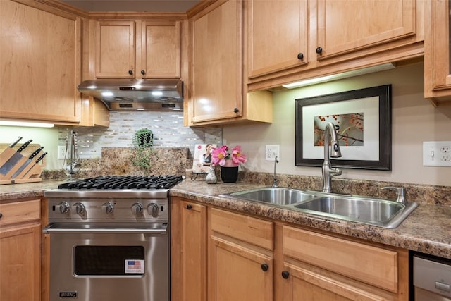 959 Tamarack Trl, Iowa City, IA 52245 - kitchen with stainless steel appliances, under cabinet range hood, a sink, tasteful backsplash, and light brown cabinetry