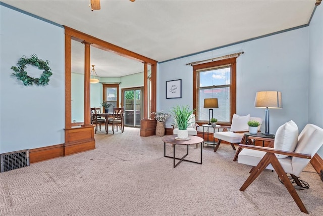 100 E Welsh St, Williamsburg, IA 52361 - view of carpeted living room