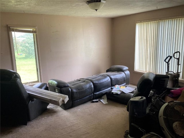 1403 W 3rd St, Vinton, IA 52349 - living area with carpet flooring and a textured ceiling