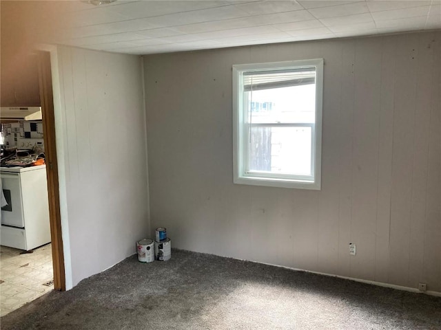 1403 W 3rd St, Vinton, IA 52349 - unfurnished room with light colored carpet and wooden walls