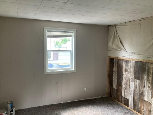 1403 W 3rd St, Vinton, IA 52349 - carpeted spare room with wood walls