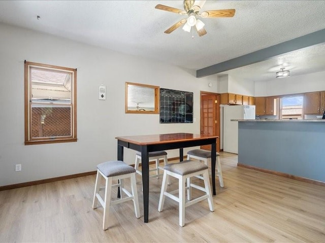 433 S Iowa St, Solon, IA 52333 - dining room with light wood-type flooring, a ceiling fan, and a textured ceiling