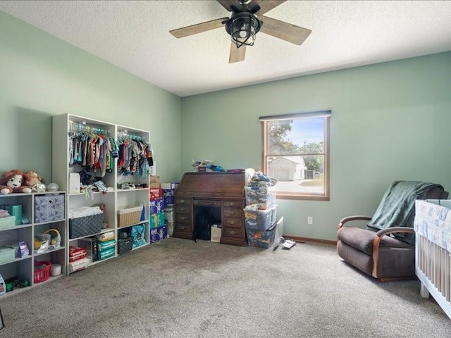 433 S Iowa St, Solon, IA 52333 - living area featuring carpet, a ceiling fan, and a textured ceiling