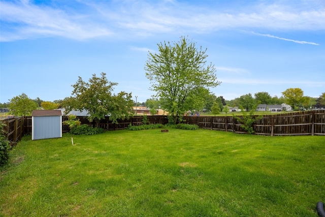 1298 14th Ave, Marion, IA 52302 - view of yard