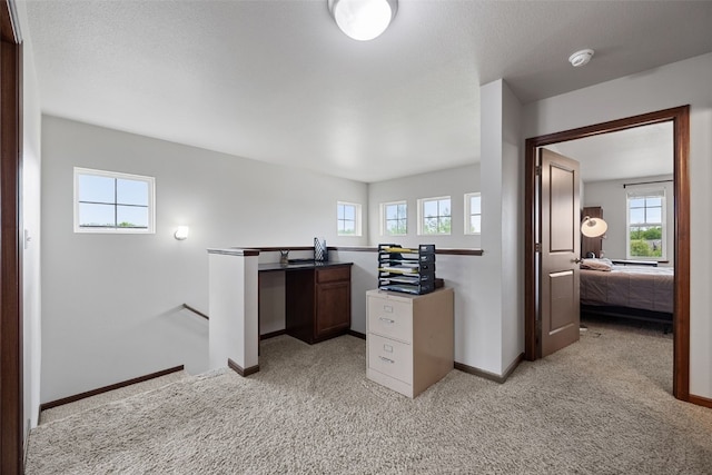 2913 Caspian Rd, Hiawatha, IA 52233 - office space featuring light colored carpet, plenty of natural light, and baseboards