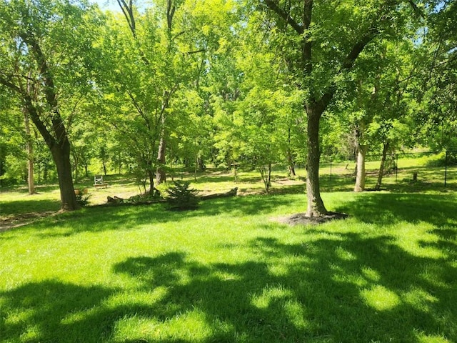 1901 42nd St SE, Cedar Rapids, IA 52403 - view of green lawn