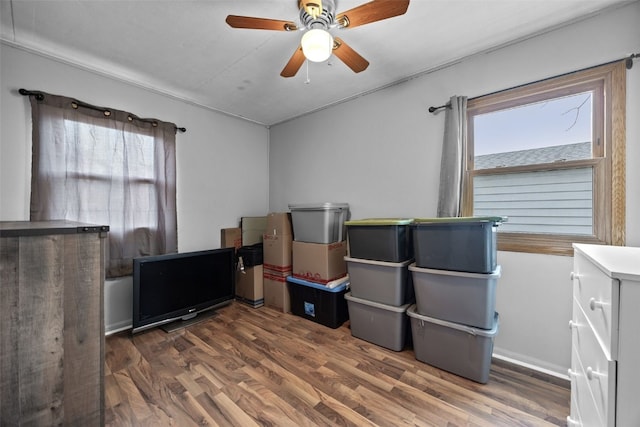 2424 8th Ave SW, Cedar Rapids, IA 52404 - bedroom with wood finished floors and ceiling fan