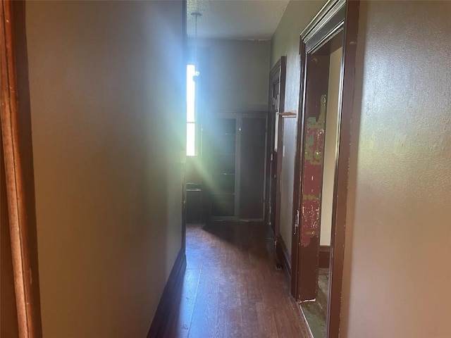 2902 Water St, Columbus City, IA 52737 - hall with dark wood-style floors