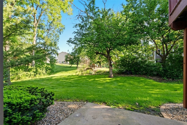 6967 Doubletree Rd NE, Cedar Rapids, IA 52402 - view of grassy yard