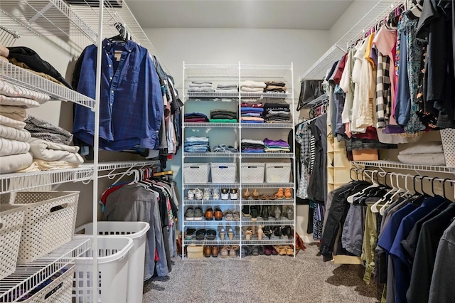 927 Summit Ct, Tiffin, IA 52340 - walk in closet with carpet floors