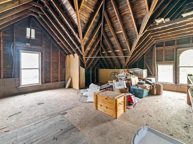317 8th St SE, Cedar Rapids, IA 52401 - view of unfinished attic