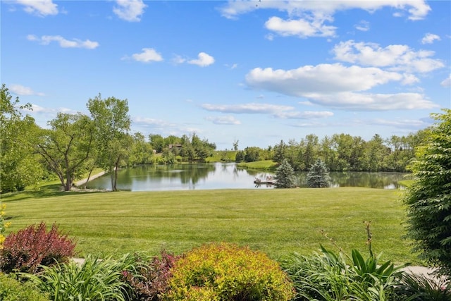 2545 F52 Trl, Parnell, IA 52325 - view of grassy yard featuring a water view