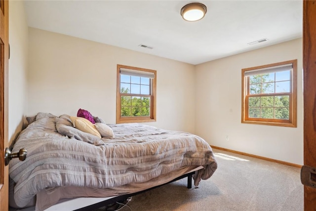 2545 F52 Trl, Parnell, IA 52325 - bedroom with multiple windows, carpet floors, and baseboards