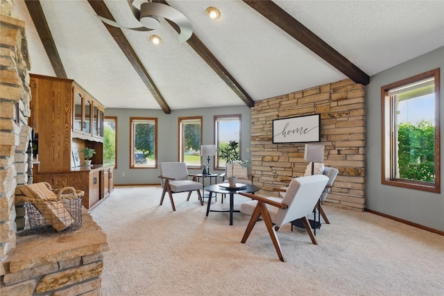 1004 W Welsh St, Williamsburg, IA 52361 - living area with light colored carpet, baseboards, and a textured ceiling