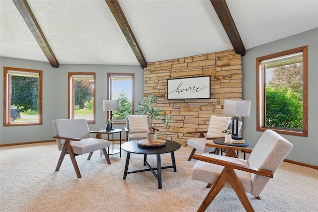 1004 W Welsh St, Williamsburg, IA 52361 - living area featuring a textured ceiling, beamed ceiling, healthy amount of natural light, light colored carpet, and baseboards