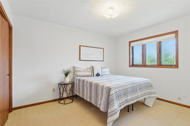 1004 W Welsh St, Williamsburg, IA 52361 - bedroom featuring light carpet, baseboards, and a closet