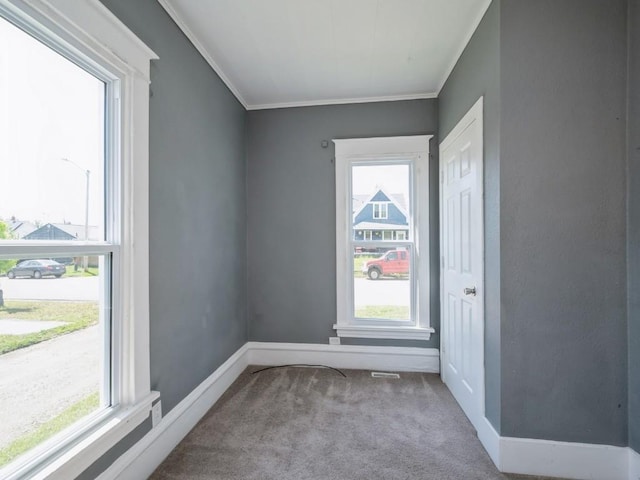 280 14th Ave SW, Cedar Rapids, IA 52404 - carpeted empty room featuring crown molding, plenty of natural light, and baseboards