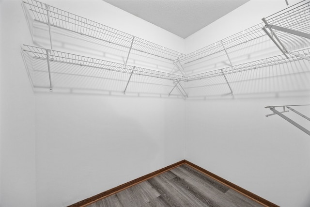 2536 N Ave NW, Cedar Rapids, IA 52405 - walk in closet featuring dark wood finished floors