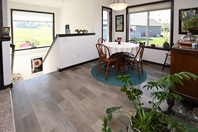 3902 Bluebird Dr SW, Cedar Rapids, IA 52404 - dining area with wood finished floors, healthy amount of natural light, and baseboards