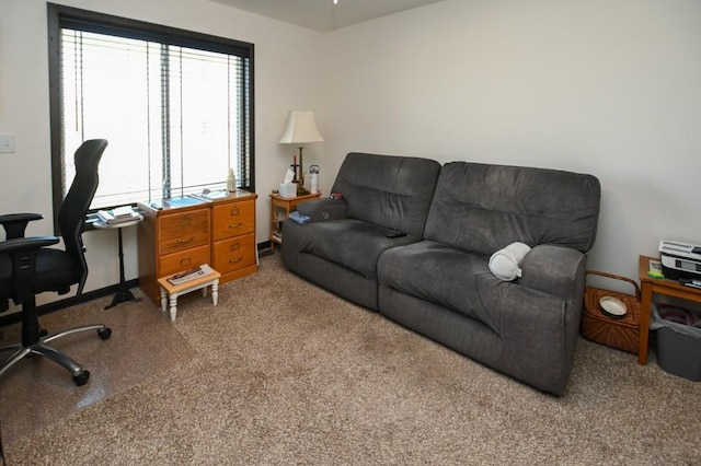 3902 Bluebird Dr SW, Cedar Rapids, IA 52404 - view of carpeted home office