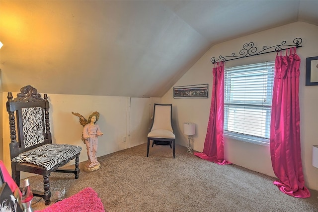 361 30th St SE, Cedar Rapids, IA 52403 - living area featuring lofted ceiling and carpet flooring