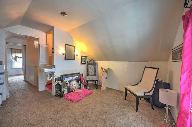 361 30th St SE, Cedar Rapids, IA 52403 - sitting room with lofted ceiling and carpet floors