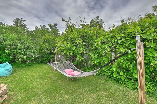 361 30th St SE, Cedar Rapids, IA 52403 - view of green lawn