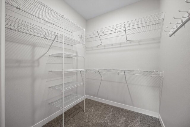 706 Silver Ln, Iowa City, IA 52245 - walk in closet featuring carpet flooring