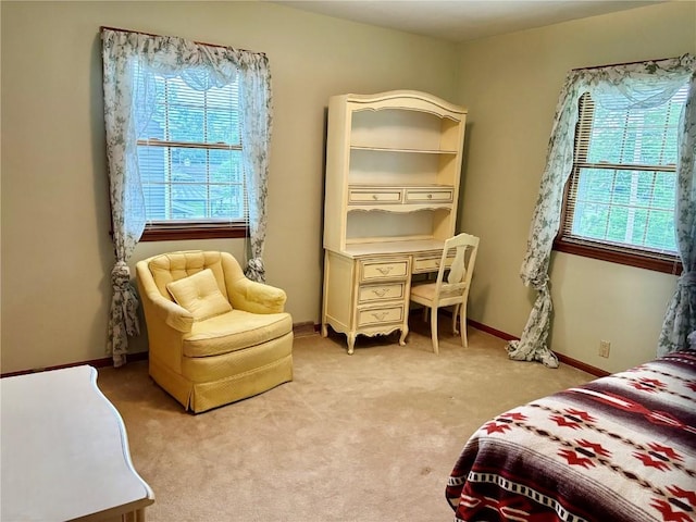 832 17th St SE, Cedar Rapids, IA 52403 - bedroom featuring light colored carpet and baseboards