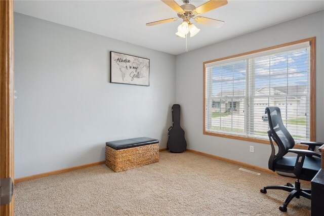 1450 Cedar River Dr, Palo, IA 52324 - photo 16